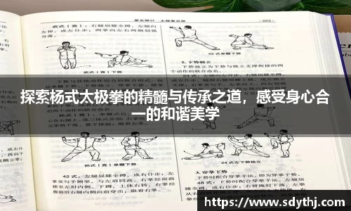 emc易倍